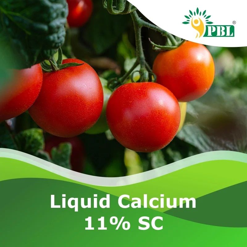 Liquid Calcium 11% Sc