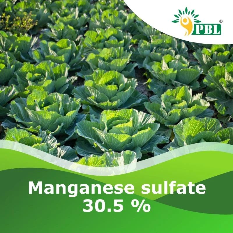 Manganese Sulfate 30.5 %
