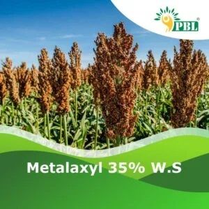 Metalaxyl 35% W.s Pesticide