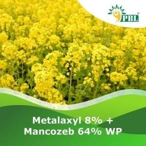 Metalaxyl 8% + Mancozeb 64% Wp