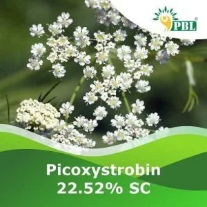 Picoxystrobin 22.52% Sc Pesticide
