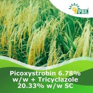 Picoxystrobin Tricyclazole Sc Pesticide