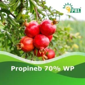 Propineb 70% Wp Pesticide