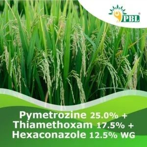 Pymetrozine 25.0% + Thiamethoxam 17.5% + Hexaconazole 12.5% Wg Pesticide