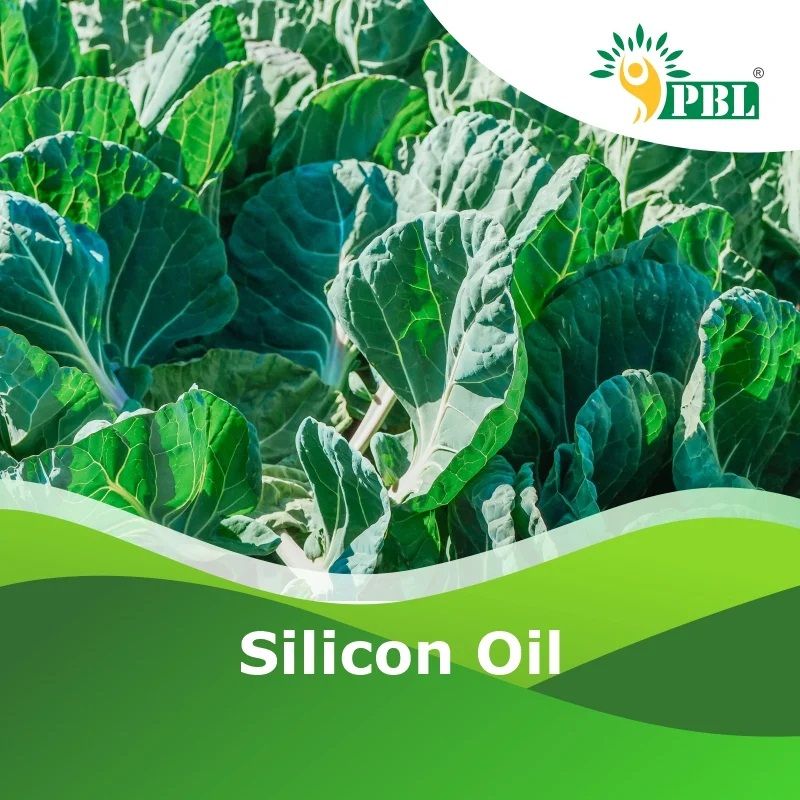 Silicon Oil