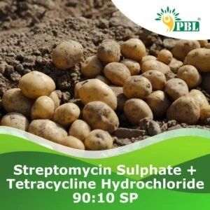 Streptomycin Sulphate + Tetracycline Hydrochloride 90:10 SP Pesticide
