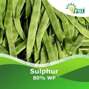 Sulphur 80% Wp Pesticide