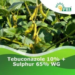Tebuconazole 10% + Sulphur 65% Wg