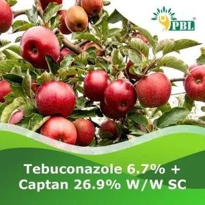 Tebuconazole 6.7% + Captan 26.9% W/w Sc Pesticide