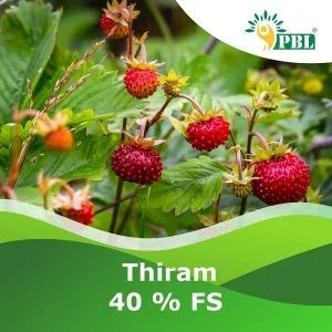 Thiram 40% Fs Pesticide