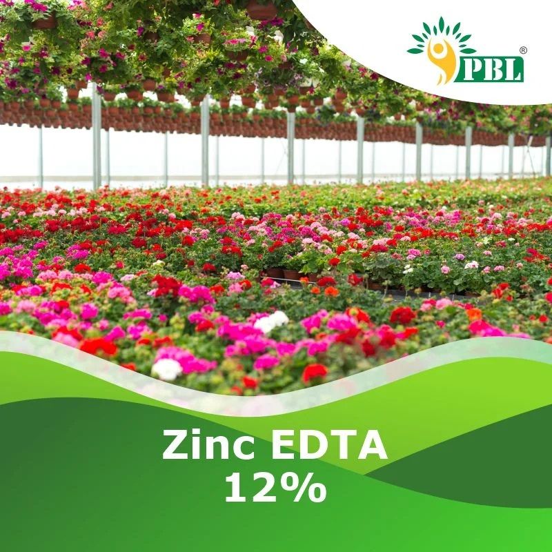 Zinc EDTA 12%