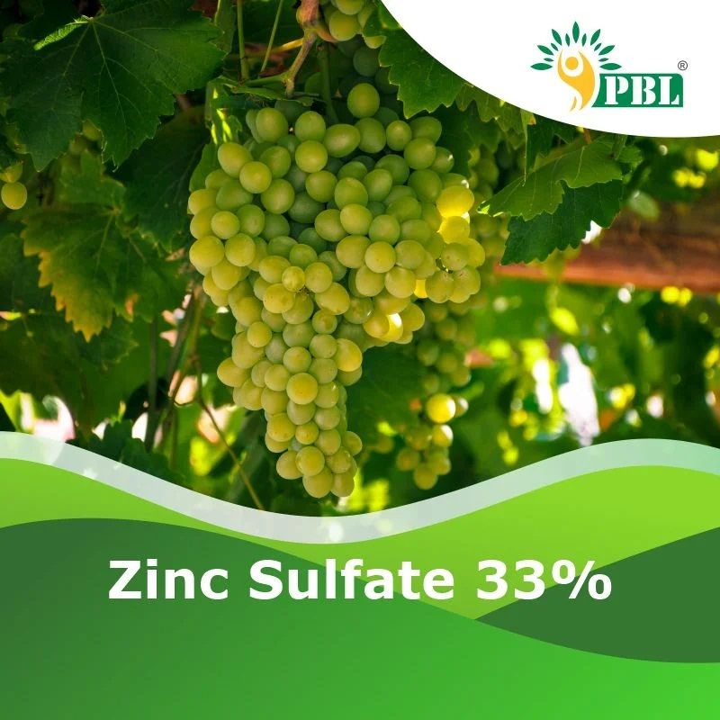 Zinc Sulfate 33%