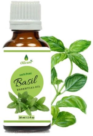 Basil Essential Oil, Packaging Type : Bottle, Form : Liquid