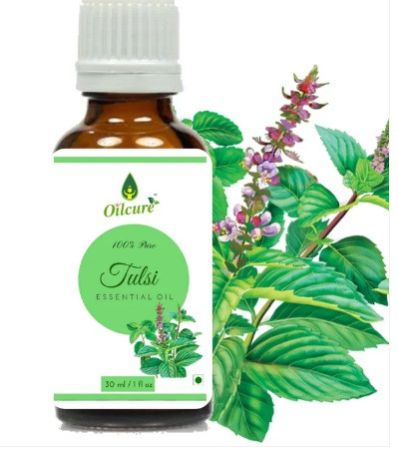 Tulsi Essential Oil, Packaging Type : Bottle, Form : Liquid