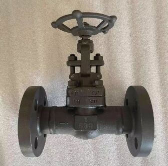 API 602 Globe Valve, ASTM A182 F11, 1 Inch, Class 600 LB, RF