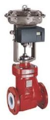 Globe Control Valve