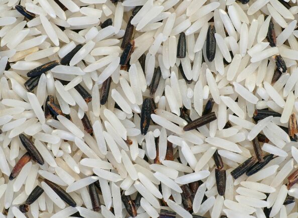 basmati rice