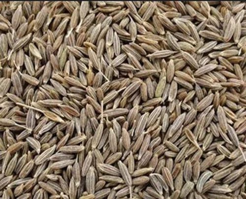 Cumin Seeds, Shape : Granule, Packaging Type : Plastic Bag