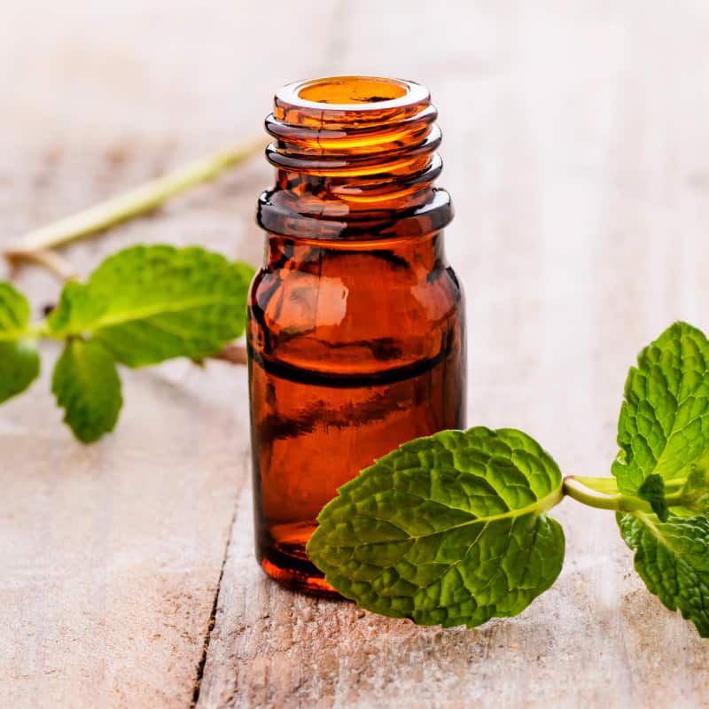 Peppermint Oil
