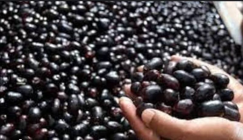 Jamun