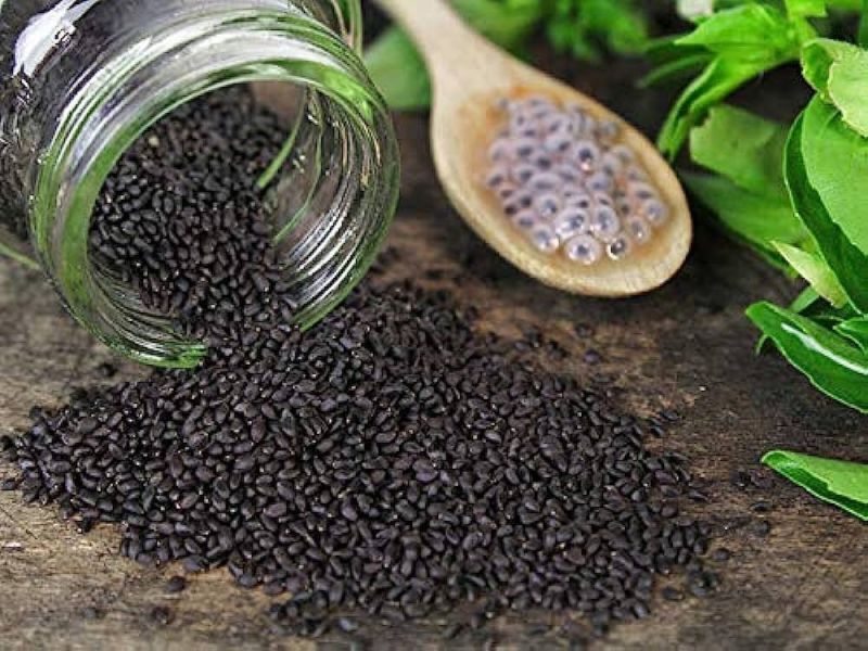 Premium Basil Seeds