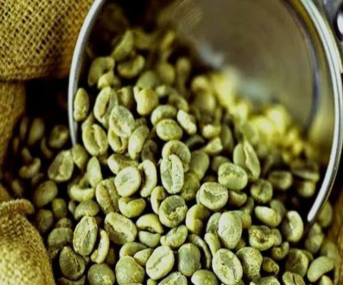 50 Kg Robusta A Grade Cherry Green Coffee Beans