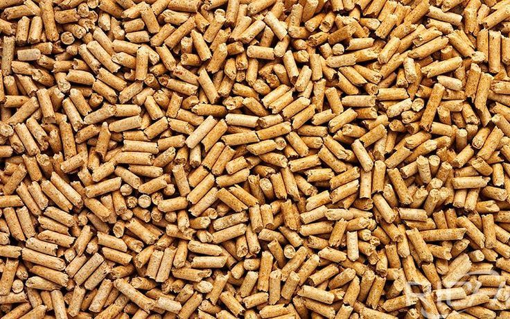 biomass pellet