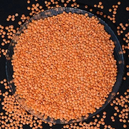 Organic Malka Masoor Dal, Packaging Size : 5-25kg for Cooking