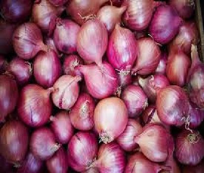 red onion