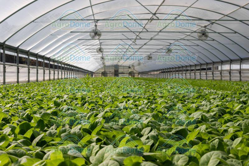 Agriculture Greenhouse