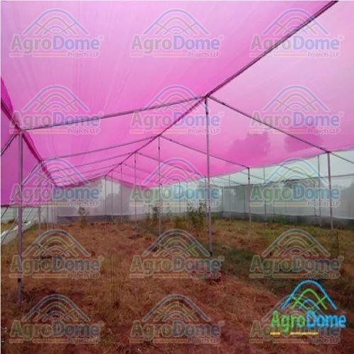 Dome Shaped Poly Tunnel Hoop Greenhouse