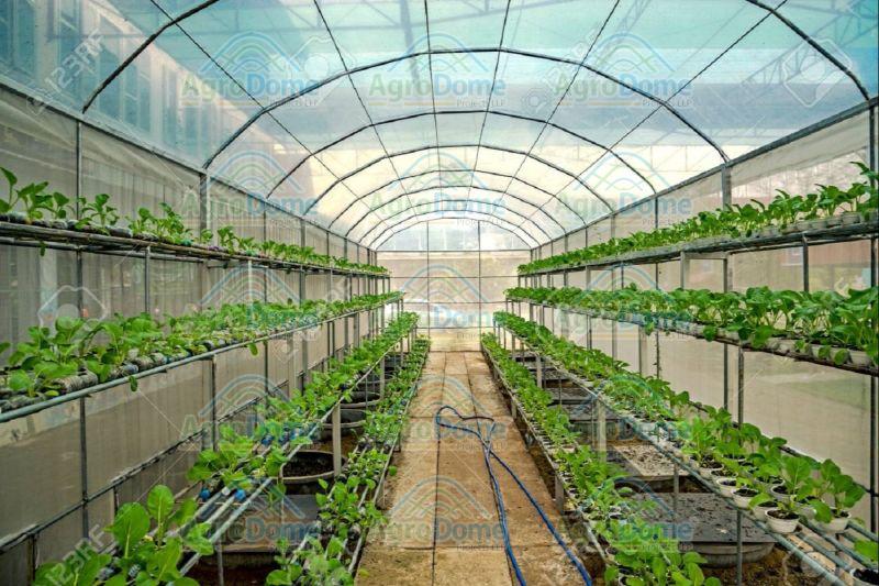 Greenhouse for Hydroponic