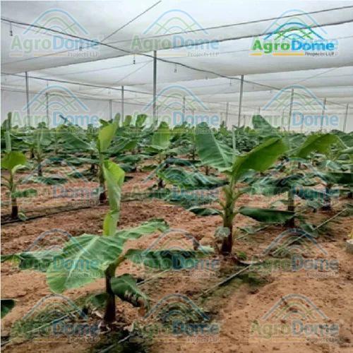 Low Cost Agricultural Green House