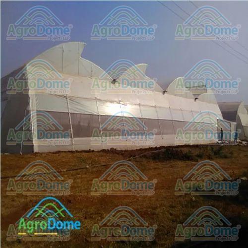 Polyethylene Multi Span Poly Tunnel Green House for Plant Cultivation