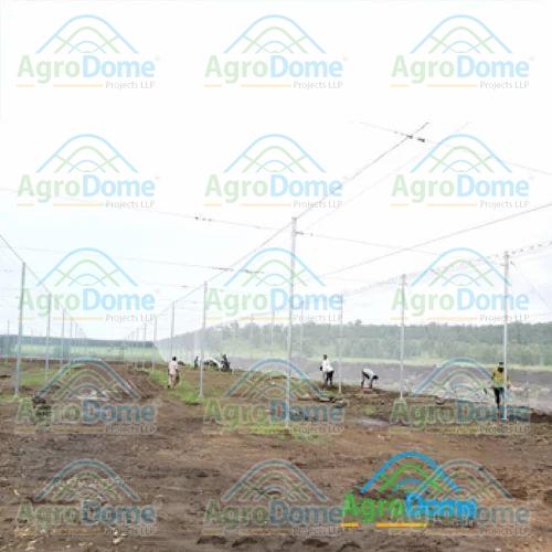 Protected Cultivation Greenhouse For Fruits Farming