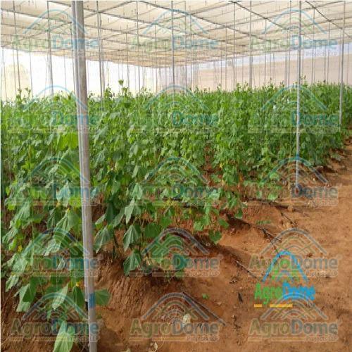 Shade Net House for Vegetables Farming