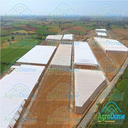 Single Layer Shade Net House