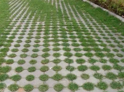 50mm Green Grass Concrete Paver