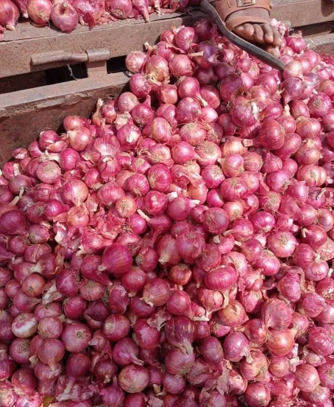 red onion