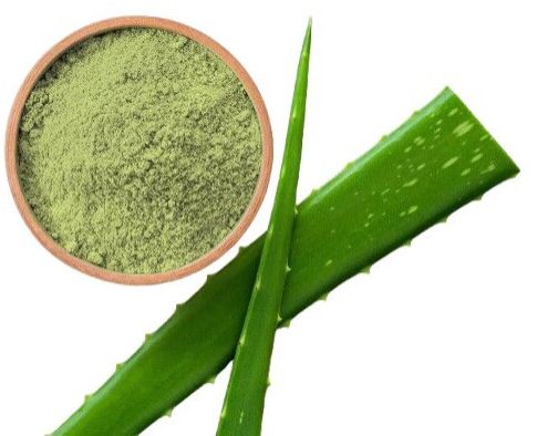 Aloe Vera Powder, Packaging Type : Green
