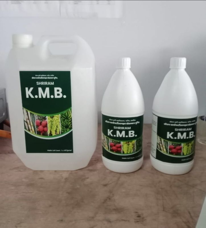 Potash Mobilizing Bacteria