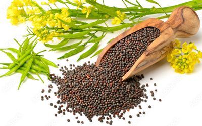 Black Mustard Seeds