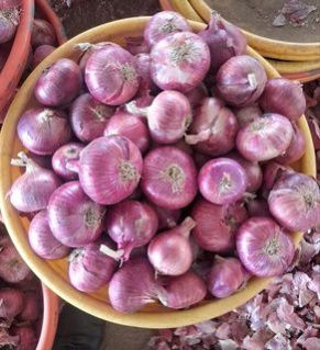 Fresh Garhwa Red Onion, Packaging Size : 25-50kg, Form : Whole