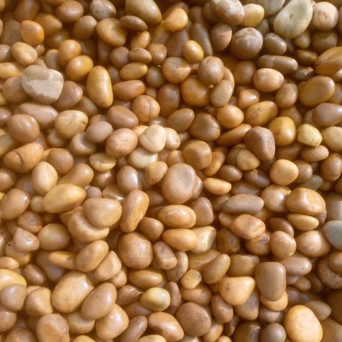 Garden Pebble Stones