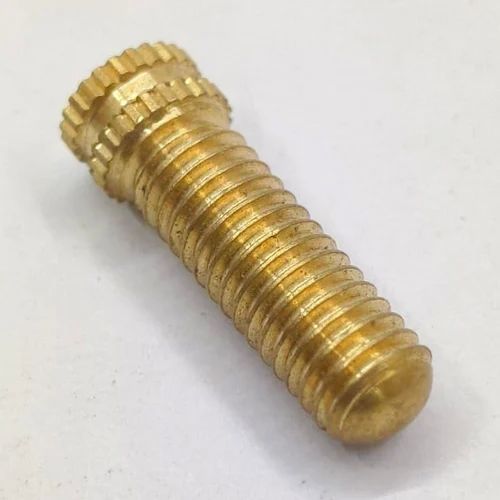 1 Inch Brass Round Threaded Screw