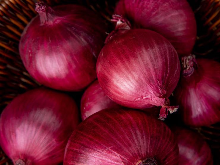 fresh red onion