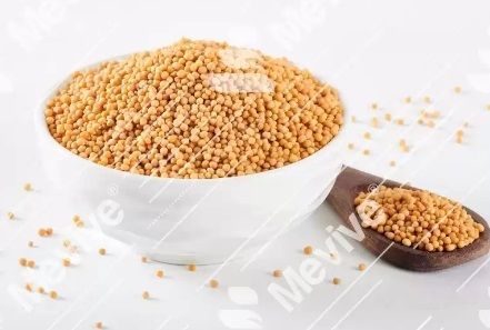 Yellow Mustard Seeds