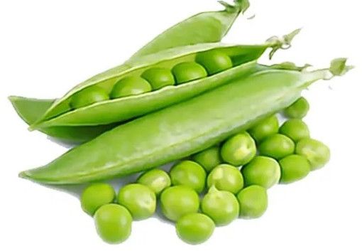 Fresh Peas