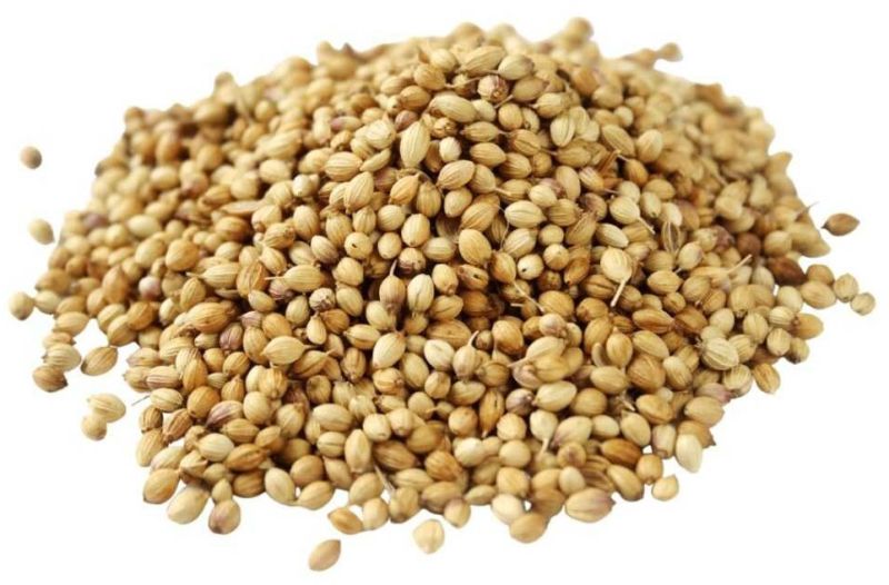 Coriander Seed