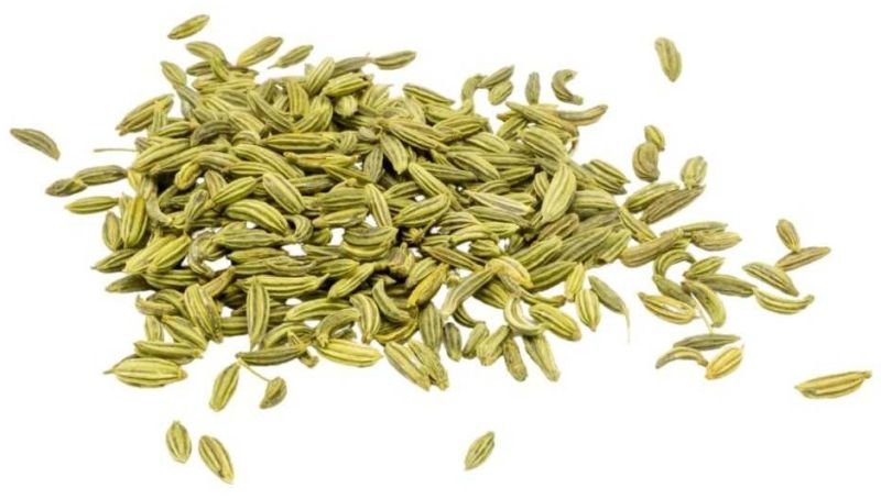 Fennel Seed